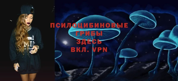 МДПВ Абинск