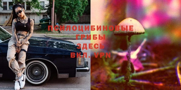 МДПВ Абинск