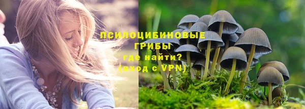 прущий лед Осинники