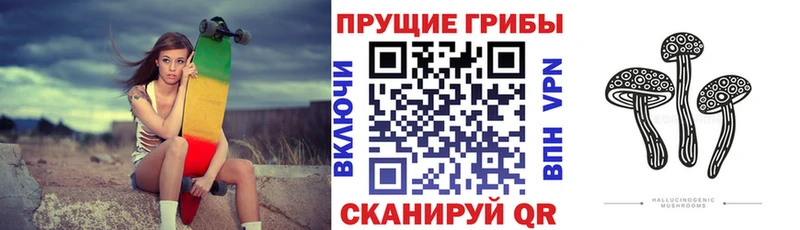 kraken как войти  Холмск  Псилоцибиновые грибы Psilocybine cubensis 