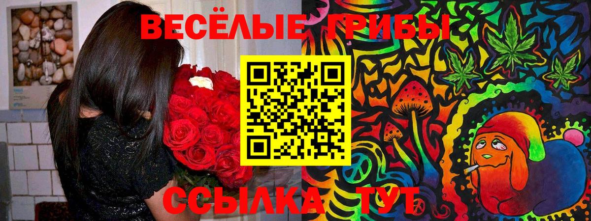 Псилоцибиновые грибы MAGIC MUSHROOMS  Вход с VPN  Холмск  Псилоцибиновые грибы Magic Shrooms 