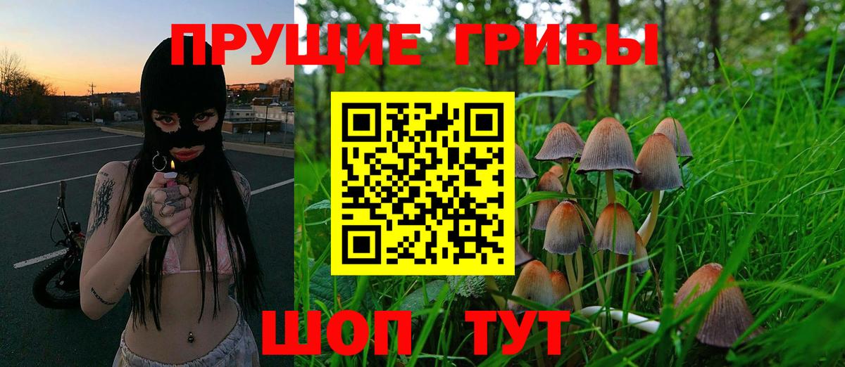 Галлюциногенные грибы Magic Shrooms Холмск